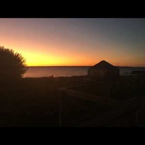 Meet your Posher, Carly